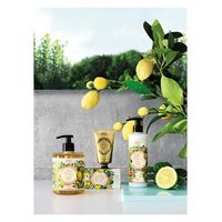 パニエデサンス エッセンシャルズ ハンドクリーム プロバンス 75mL 4517161167894 1セット(72個)（直送品）