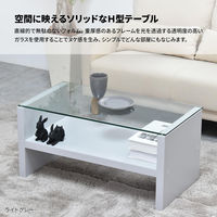 【軒先渡し】B.Bファニシング Noko ガラスセンターテーブル 幅750×奥行400×高さ370mm NKTB0266MOLGY 1台（直送品）