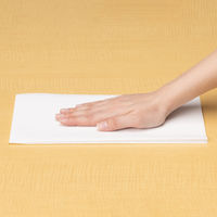 （限定）抗菌・防カビ カウンタークロス レギュラー 約30×60cm ホワイト 1セット（1パック（100枚入）×5）帝人フロンティア オリジナル