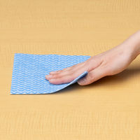 （限定）抗菌・防カビ カウンタークロス ハーフ 約30×30cm ブルー 1セット（1パック（100枚入）×5）帝人フロンティア オリジナル