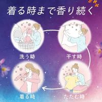 ニュービーズ ジャスミン＆ムスクの香り 詰め替え 超特大 1560g 1セット（1個×3） 衣料用洗剤 花王