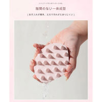 アスコ ヘアーブラシ Shell ブルー HBーS151(B) C1000548 1個（直送品）