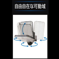 大進 センサーライト ソーラータイプ 屋外用 1灯式 1セット（1台×2）（直送品）