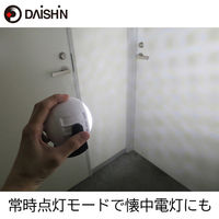 大進 人感 センサーライト 吸盤 屋外 防雨 電池 LED DLB-N600B-2 1セット（1台×2）（直送品）