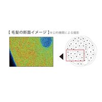 Amavilla ヘアアイロン ストレート アクアプレート バイブレーション機能 SIー400 1台