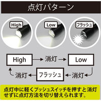 コンテック アクアフォーカスハンドライト3×1 SE-31 1箱（直送品）