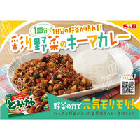 とろけるカレー 中辛 144g 3個 エスビー食品 カレールウ