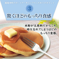 国産米粉使用 ホットケーキミックス 4枚分 200g  10袋 森永製菓 製菓材 パンケーキミックス