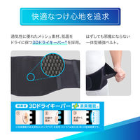 メディエイド しっかり腰 スタンダード黒 L 338003 日本シグマックス　腰サポーター