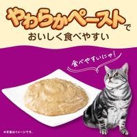カルカン（kalkan）11歳から やわらかペースト 味わいとりささみ 着色料・発色剤 無添加 60g 12袋 キャットフード