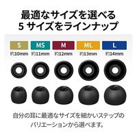 JVCケンウッド イヤーピース EP-FX12L EP-FX12M-B 1セット（直送品）