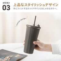 武田コーポレーション ストロータンブラー480ml GR STT-480GR 1箱(6個入)（直送品）