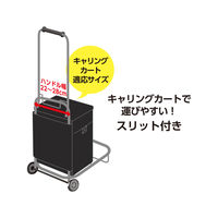 サーモス ソフトクーラー 20L オールブラック RFDー0201 ALB 1個