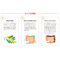 大型センナ 3g×96包 山本漢方製薬 便秘 便秘に伴う肌あれ【指定第2類医薬品】