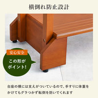 【軒先渡し】萩原 手摺り付き玄関踏み台 VH-7938LBR-S 1台（直送品）