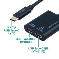 ナカバヤシ TypeーC　PD対応　イヤホン変換ケーブル　ブラック SADーCE05PBK 1個