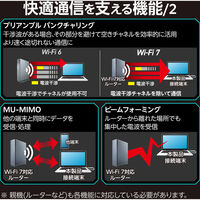 WiFi 無線LAN 子機 USB 無線LANアダプタ ブラック WDC-BE28TU3-B エレコム 1個（直送品）