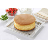 下村企販 プレート 網付き 25cm スクエアディッシュ 磁器 423336 1個（直送品）