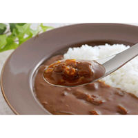 下村企販 レンゲスプーン 18cm ステンレス 5本組 436328 1個（直送品）