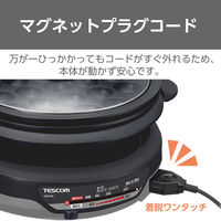 グリルなべ 3.4L 1300W たこ焼き/溝つきプレート付属 直火可能 スタイリッシュグレー GP9100 H テスコム 1個（直送品）