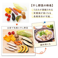 アストロ おうちで手軽に野菜干しネット 625-01 1個（直送品）