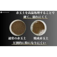 【園芸用品】プロトリーフ 室内向け観葉・多肉の土プレミアム 3.5L 1袋