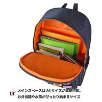 スワン ROTHCO エアフォース デイパック 45082 21L ブラック 1個（直送品）