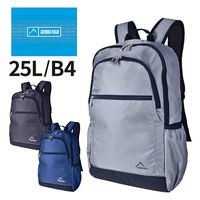 スワン SIERRA FIELD AD Dリュック 2231 25L ネイビー 1個（直送品）