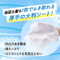 メリット　ドライシャンプーシート　すっきり爽快タイプ　20枚入　花王