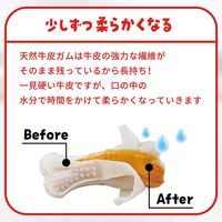 ディンゴ チキンボーンストロング M 小型～中型犬用 8本入 1セット（1袋×3）スペクトラム ブランズ ジャパン 犬用 おやつ