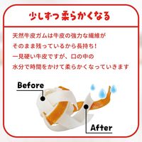 ディンゴ チキンボール ミニ 超小型～小型犬用 8個入 1セット（1袋×3）スペクトラム ブランズ ジャパン 犬用 おやつ