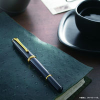 呉竹 くれ竹万年毛筆 夢銀河 天然木 玉樹槐 中字 DAY140-47 1本（直送品）