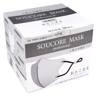 【業務用】5層立体SOUCORE MASK医療用 おとこまえLGY個別包装20枚 4573508630452 1箱(20枚入)（直送品）