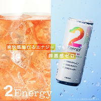 TWO 2Energy 250ml×30本 4589570801348 1セット(250ml×30本（直送品）