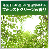 (ワゴンセール)ナノックス ワン（NANOX one） 部屋干し 詰め替え 超特大 1160g 1個 洗濯洗剤 ライオン