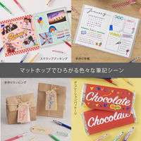 ぺんてる カラーボールペン マットホップ 1.0mm 21色セット 缶ケース入り K110ーV21ST 1個