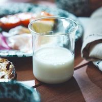 DEAN&DELUCA（ディーン&デルーカ） メジャーカップ　200ml 4580379239912 1個