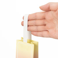 【限定デザイン】 グラデーションギフトバッグ LIP 5枚組 限定