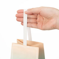 【限定デザイン】 グラデーションギフトバッグ JAR 5枚組 限定