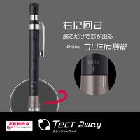 ゼブラ テクトツゥーウェイ 0.5mm 限定 シルバー MA41ーBSーS 1本