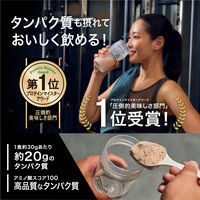 WPC抹茶風味（チョコチップ入り）900g 1個 アルプロン