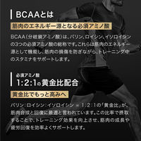 BCAAパイナップル風味420g 1個 アルプロン