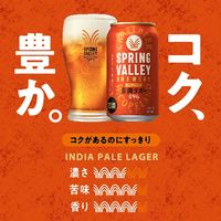 ビール SPRING VALLEY（スプリングバレー） 豊潤 496 350ml　1セット（1本×2） クラフトビール