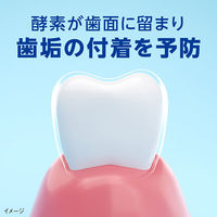 クリニカPRO plus 歯周バリア ハミガキ 95g 酵素配合 歯垢を分解・除去 歯磨き粉