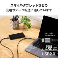 タイプCケーブル ( USB-C to C ) 2m 高耐久 PD 100W 黒 MPA-CC5PAN20BK エレコム 1個（直送品）