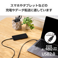 タイプCケーブル ( USB-C to C ) 2m シリコン PD 100W 黒 MPA-CC5PSSA20BK エレコム 1個（直送品）