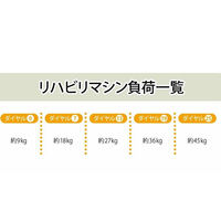 【軒先渡し】高田ベッド レッグプレス2 分離式 リハビリ運動療法 ビニルレザーライトブルー TB-1216 1台（直送品）