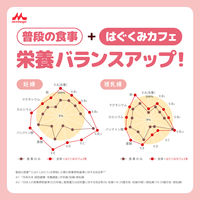 森永はぐくみカフェ　カフェオレ風味 1個 森永乳業 ノンカフェイン カフェインゼロ 妊娠期 授乳期