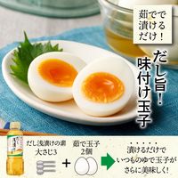 だし浅漬けの素　300ml 1個 にんべん