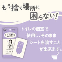 レック SRT 女性用 流せるボディシート 無香料 C01258 1個（12枚入）